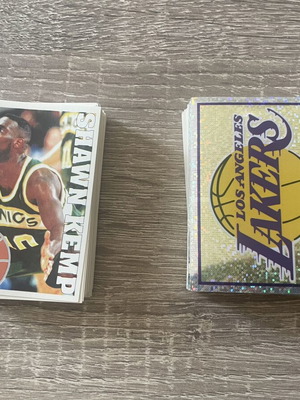 Panini NBA 95-96 stickers, pack of 146, silver foil