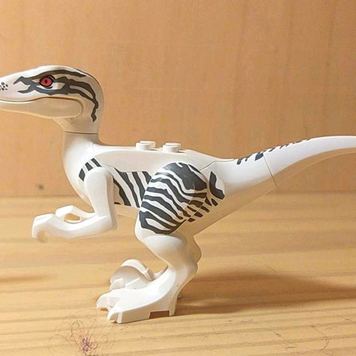 Raptors used 3rd generation in very good condition