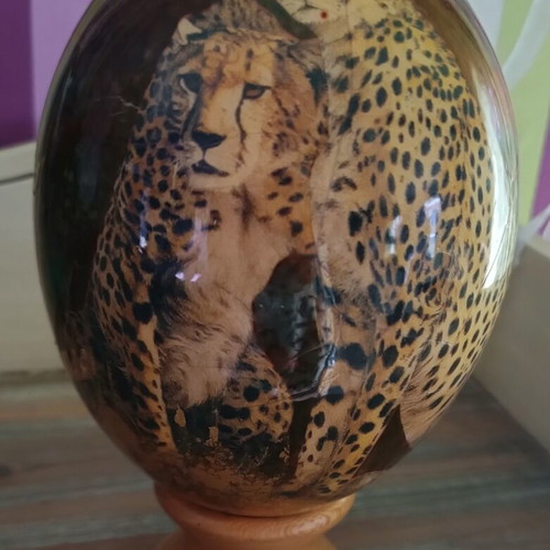 Ostrich Egg from South Africa like new with gold leaf and colorful details