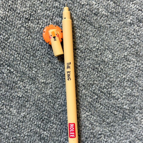 Holee erasable pen new with designs