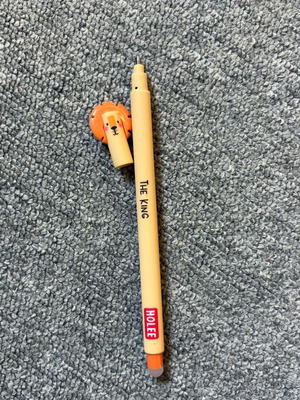 Holee erasable pen new with designs