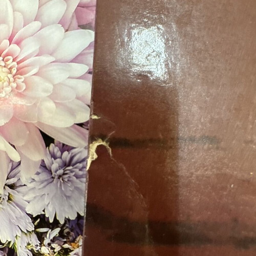 Vintage photo album new, 10 pages