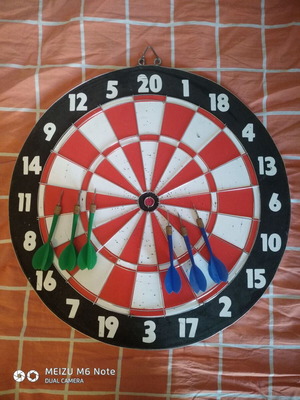 Bull's Darts targets and darts used