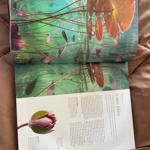 The Science of Plants book new, coffee table, English