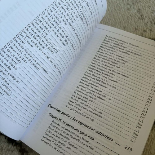 Book Les Expressions francaises pour les nuls like new