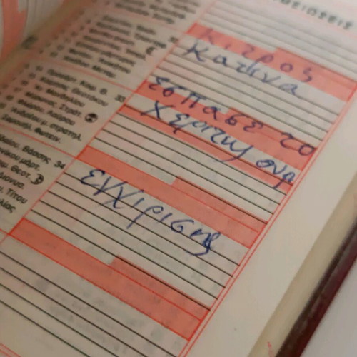 Diary 1989 used with leatherette cover