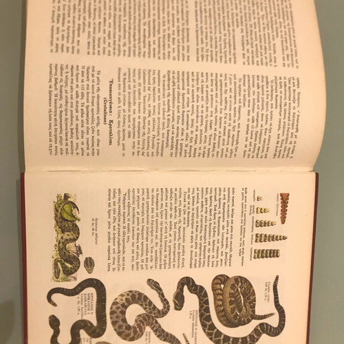 The World of Plants and Animals Volume 1 like new, Biology - Zoology
