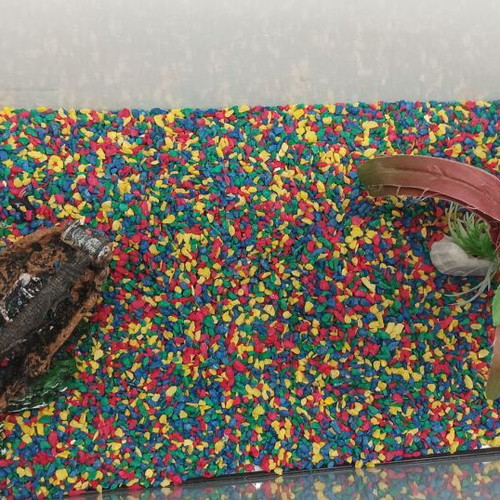 Aquarium for two goldfish with glass cleaner gift