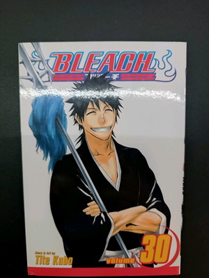 Bleach Manga Volume 30 like new