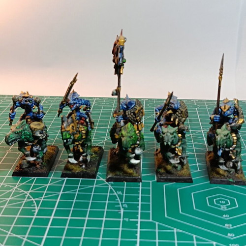 Seraphon Lizardmen Army like new with huge bits box for Warhammer