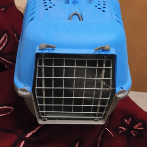 Cat or small dog transport carrier
