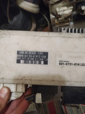 Μονάδα φωτισμού για BMW X5 E53 μεταχειρισμένη, ανταλλακτικό 61356913528