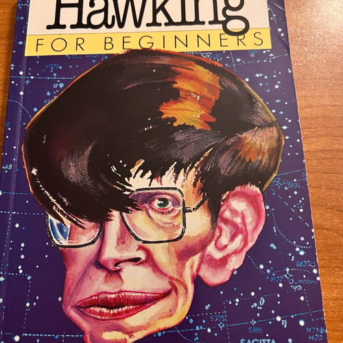 Book Stephen Hawking for beginners like new, English