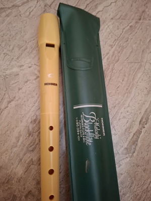 Hohner Melody plastic soprano recorder model 9508 with case