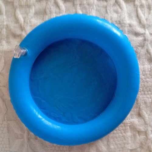 Frisbee beach toy used, inflatable