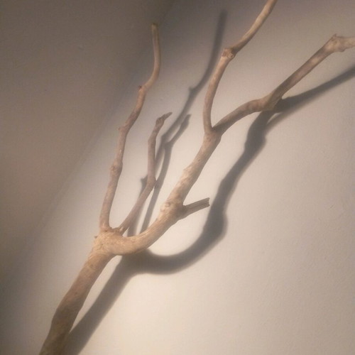 Deadwood decorative wood refurbished with satin varnish