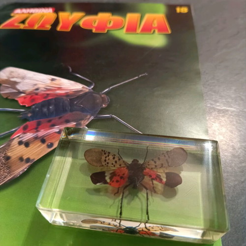 Alithina Zofyia Issue 18 used
