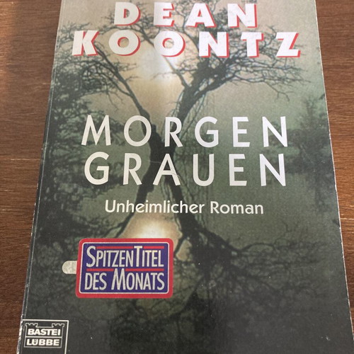 Morgengrauen novel used, German language by Dean Koontz