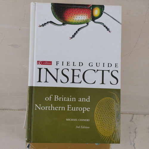 Insects of Britain and Northern Europe book like new, English