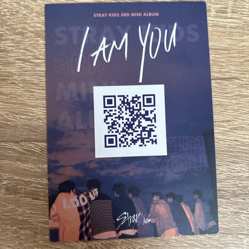 Stray Kids I Am You Polaroid in excellent condition