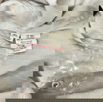  Αλεξάντρ Μανάμης ασύμμετρο πουκάμισο (3)