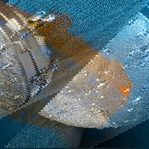 Βραδινό τσαντάκι vintage αχρησιμοποίητο με αστραφτερές πέτρες και λεπτή αλυσίδα