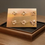 Earrings strass stud silver new