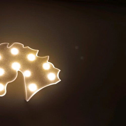 Decorative LED lights used, unicorn and cloud set