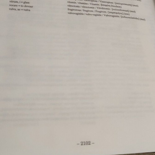 Lexicon 4ΓΛΩΣΣΟ multilingual dictionary new