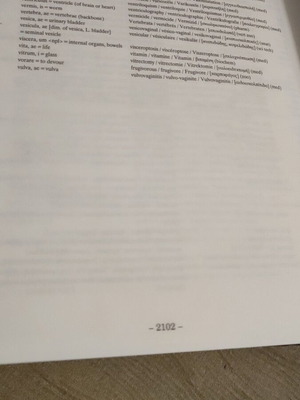 Lexicon 4ΓΛΩΣΣΟ multilingual dictionary new