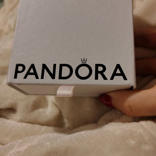 Pandora paper jewelry storage box new