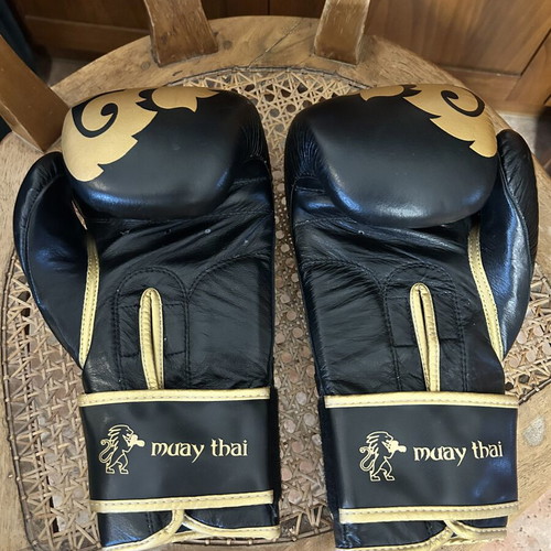 Muay Thai Leone 1947 Boxing Gloves new, black with gold details