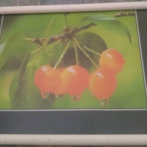 Retro frame used from the 80s decade