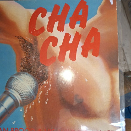 Cha Cha Herman Brood & His Wild Romance LP like new