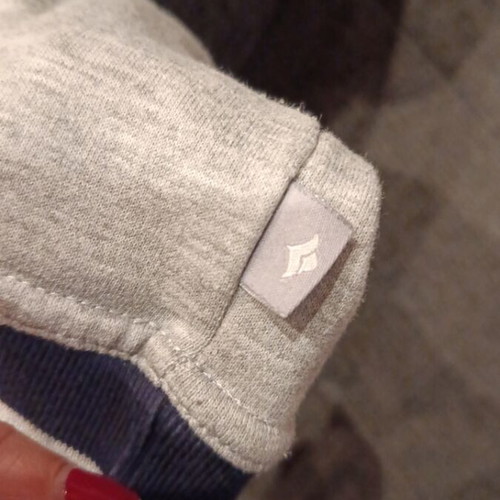Alouette sweatshirt for 16-year-olds like new, gray and blue