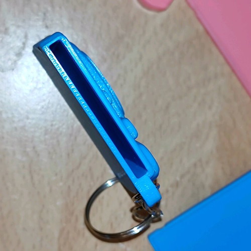 Camera keychain set with internal photo holder new