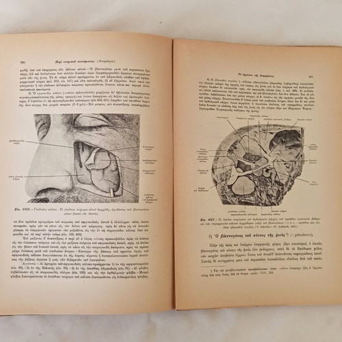 Anatomiki tou Anthropou Volume 3 Neurology & Senses used