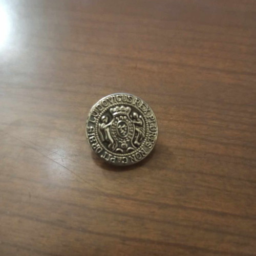 Ludovicus Rex metal button collectible used