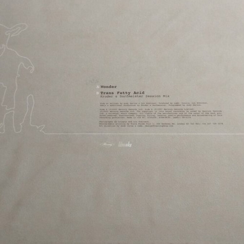 Lamb Wonder 10" Single like new, electronic