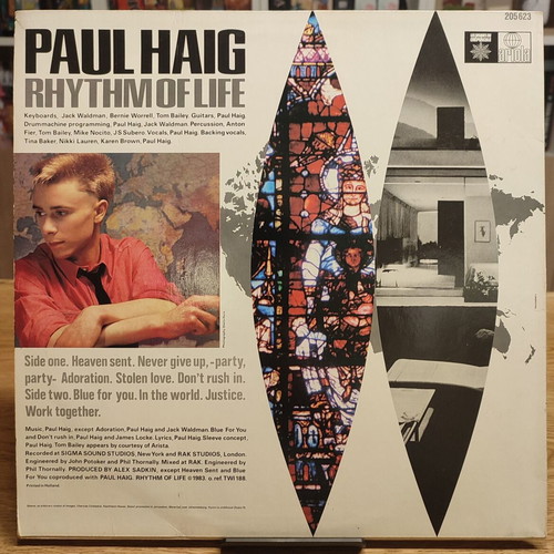 Paul Haig Rhythm Of Life vinyl LP used, pop