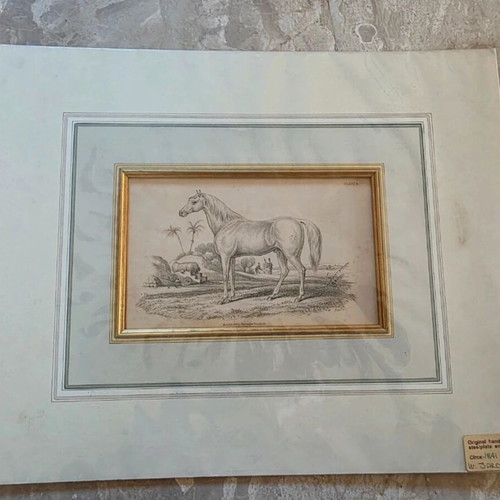Lithograph with Horse 1841 like new