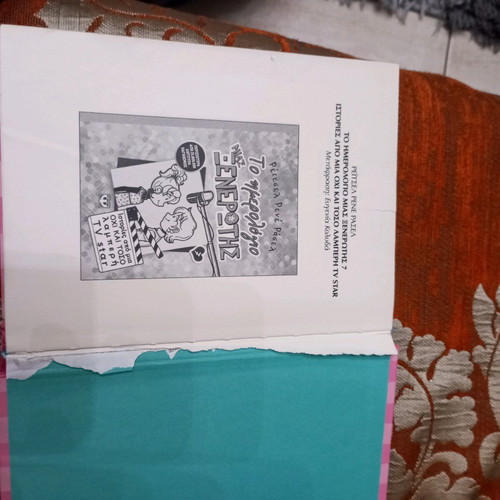 The Diary of a Wimpy Kid used book