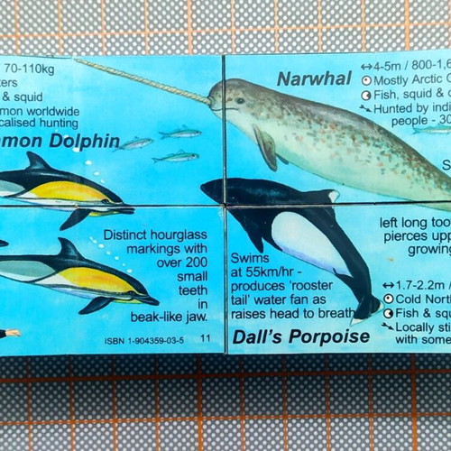 Zoobookoo Cube Book Dolphins and Whales new, educational