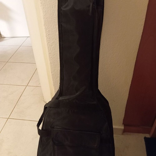 Classical guitar 7/8 new with case, cedar top, mahogany sides