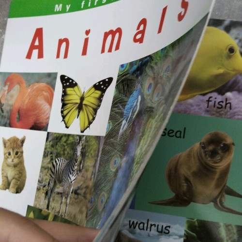 Preschool education books for toddlers, new, English
