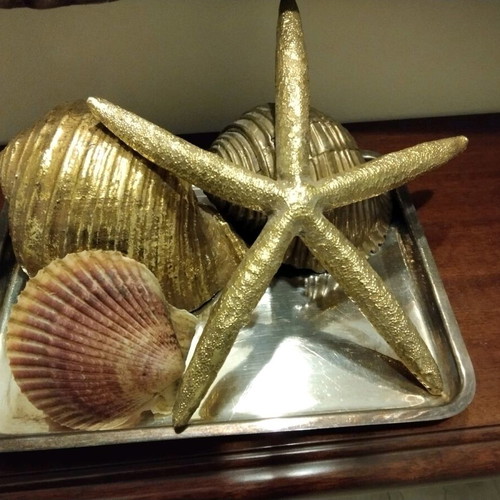 Large seashells and starfish composition like new