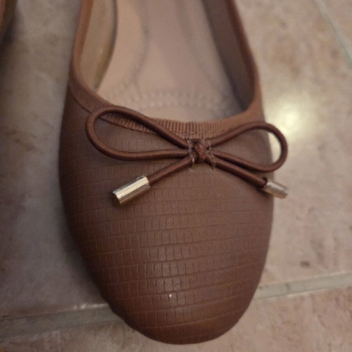 Plato Brown Ballet Flats with Decorative Bow
