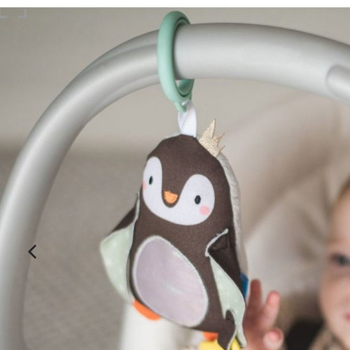 Taf Toys Prince The Penguin hanging rattle toy used
