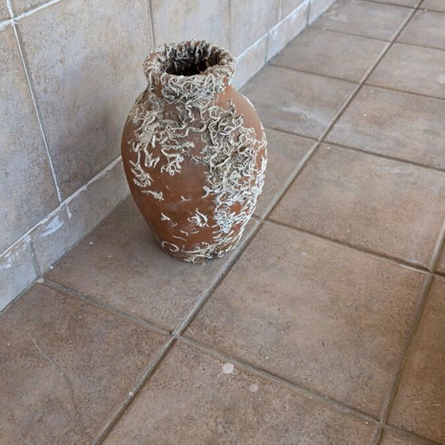 Decorative Jar with Marine Biological Material like new