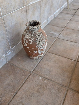 Decorative Jar with Marine Biological Material like new